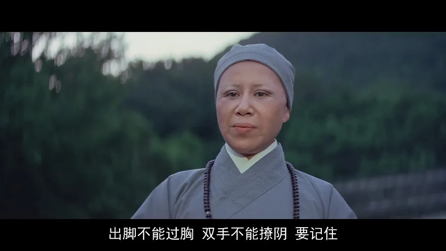 少林木人巷的视频截图4.webp
