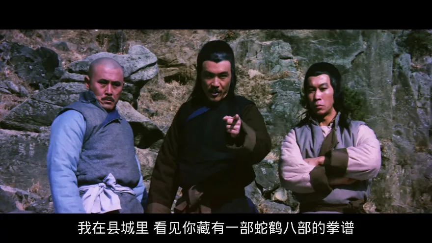 蛇鹤八步的视频截图1.webp