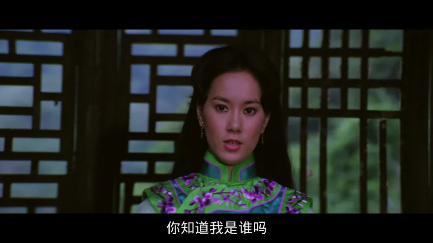 蛇鹤八步的视频截图3.webp