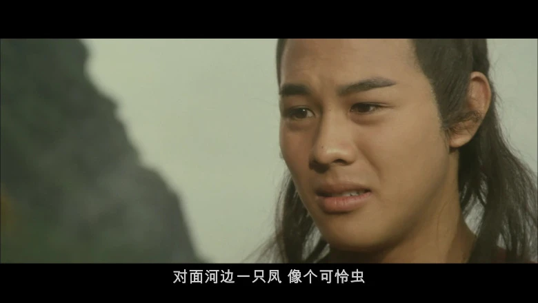 少林小子的视频截图3.webp