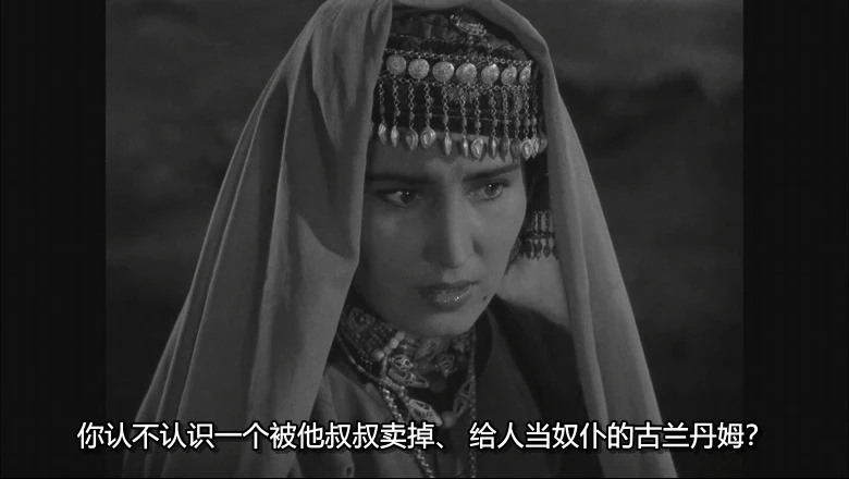 冰山上的来客的视频截图3.webp