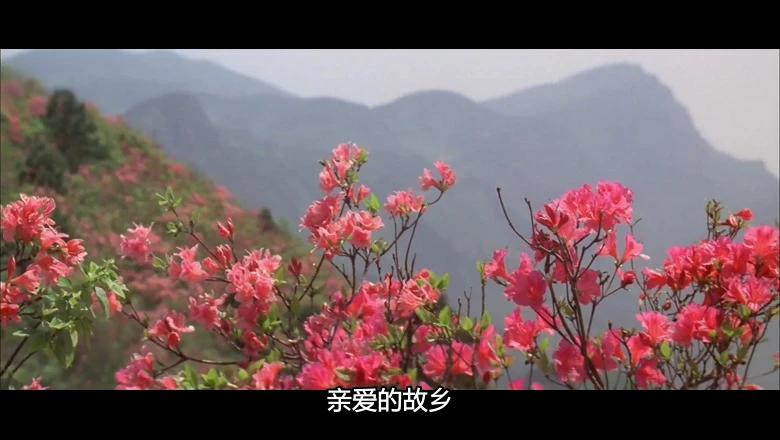 5.webp