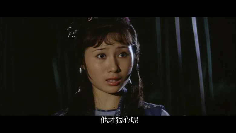 少林寺的视频截图1.webp