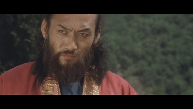少林寺的视频截图4.webp