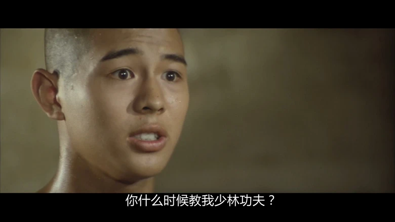 少林寺的视频截图5.webp