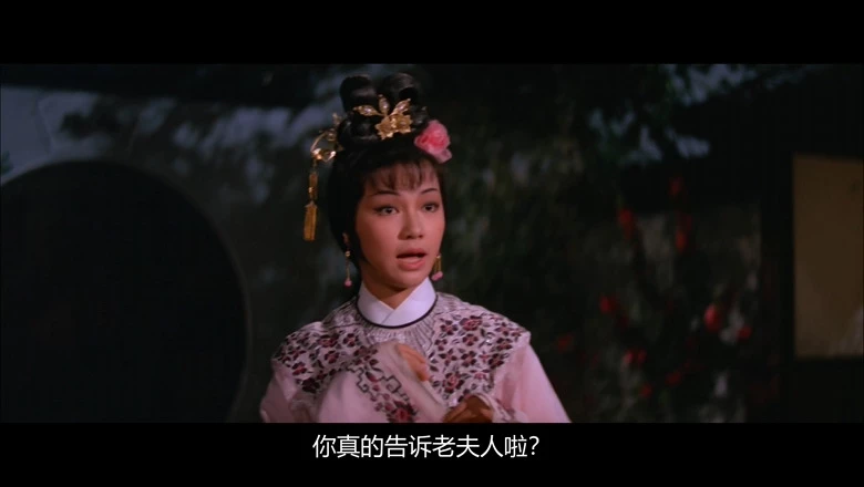 西厢记的视频截图3.webp