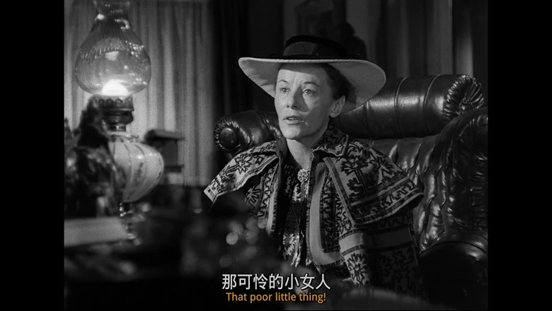 阳光普照的视频截图4.webp