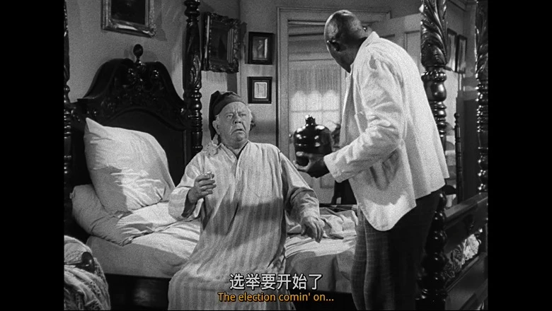 阳光普照的视频截图1.webp