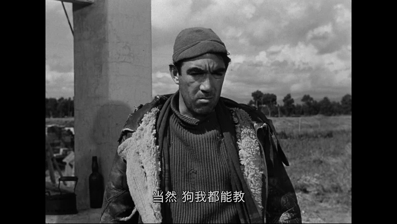 大路的视频截图1.webp