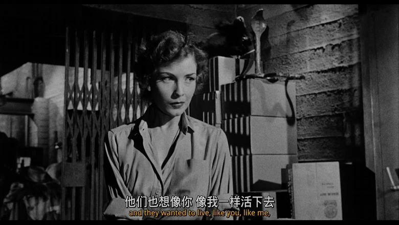 黑色星期二的视频截图4.webp