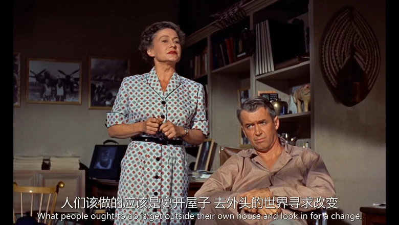 后窗的视频截图1.webp