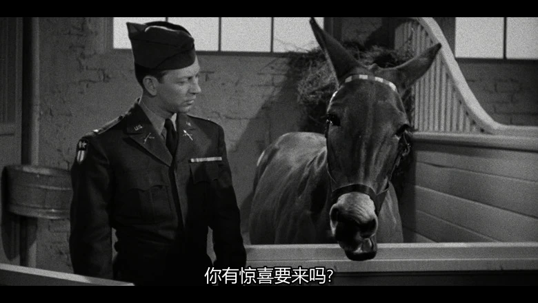 视频截图3.webp