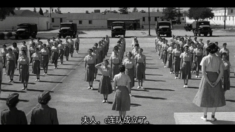 视频截图2.webp