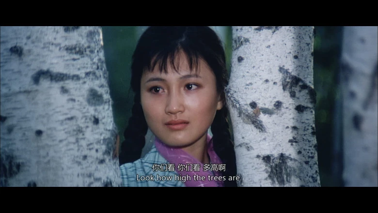 视频截图43.webp