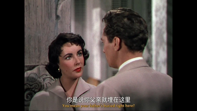 视频截图2.webp